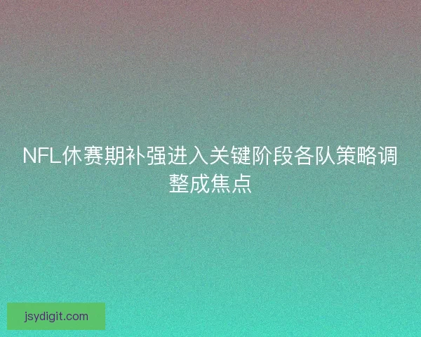 NFL休赛期补强进入关键阶段各队策略调整成焦点