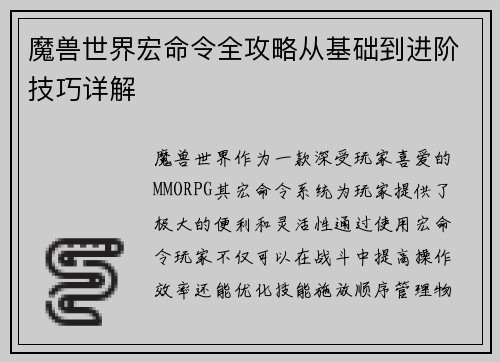魔兽世界宏命令全攻略从基础到进阶技巧详解